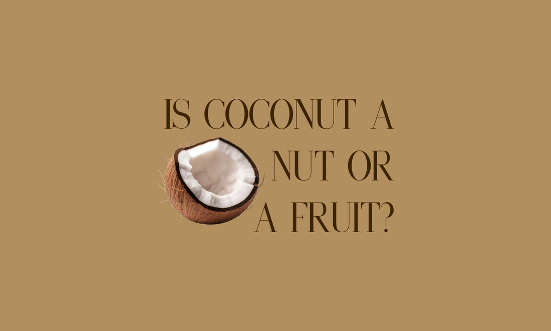 Is coconut a nut or a fruit?